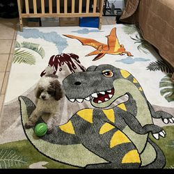dinosaur rug 