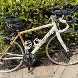 Fuji Finest 3.0 Road Bike