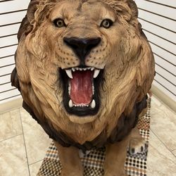 Lion Status 