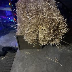 Hay