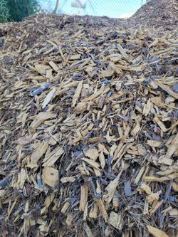 Pine Mulch And Logs 