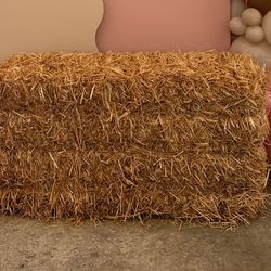 Horse Dried Hay 