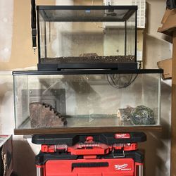 Reptile Tanks
