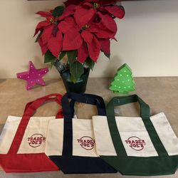 Trader Joes Mini Tote
