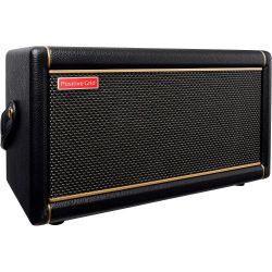 Spark 2 Guitar Amplifier And Bluetooth Speaker