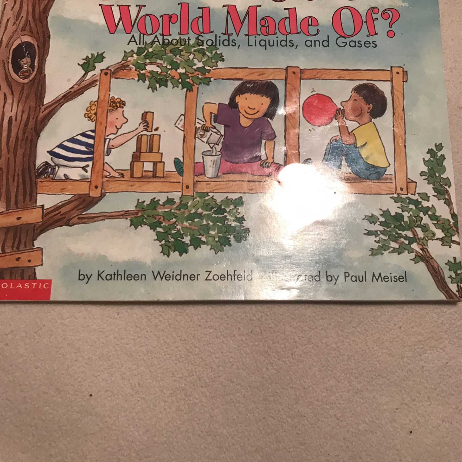 What Is The World Made Of? Book