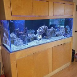Fish Tank & Stand
