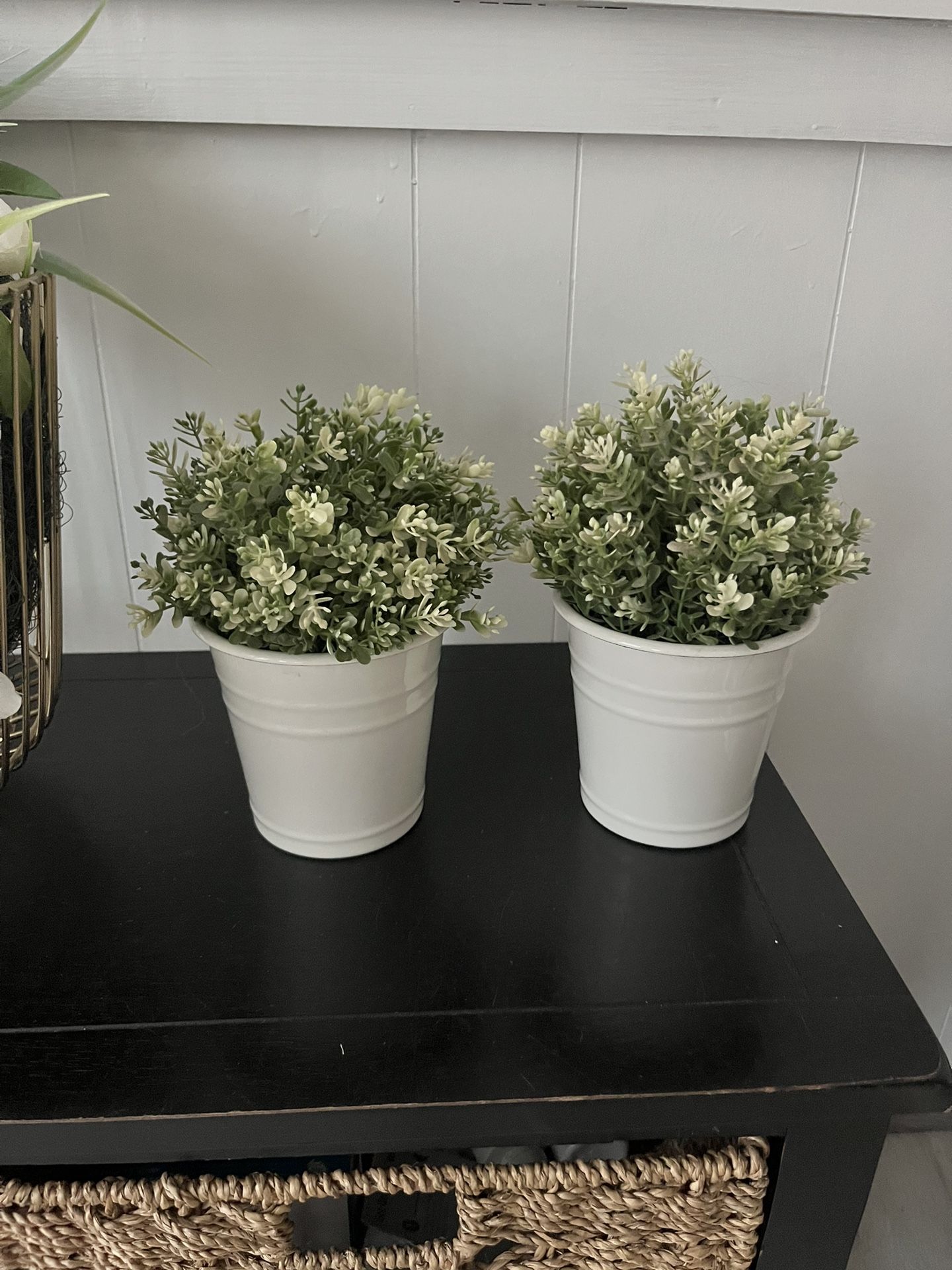 Two Fake Potted Plants / Flowers
