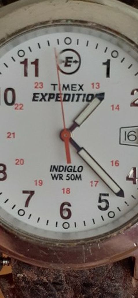 Timex Expedition Watch