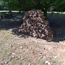 Seasoned Firewood