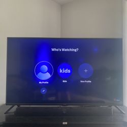 55” Lg Tv 