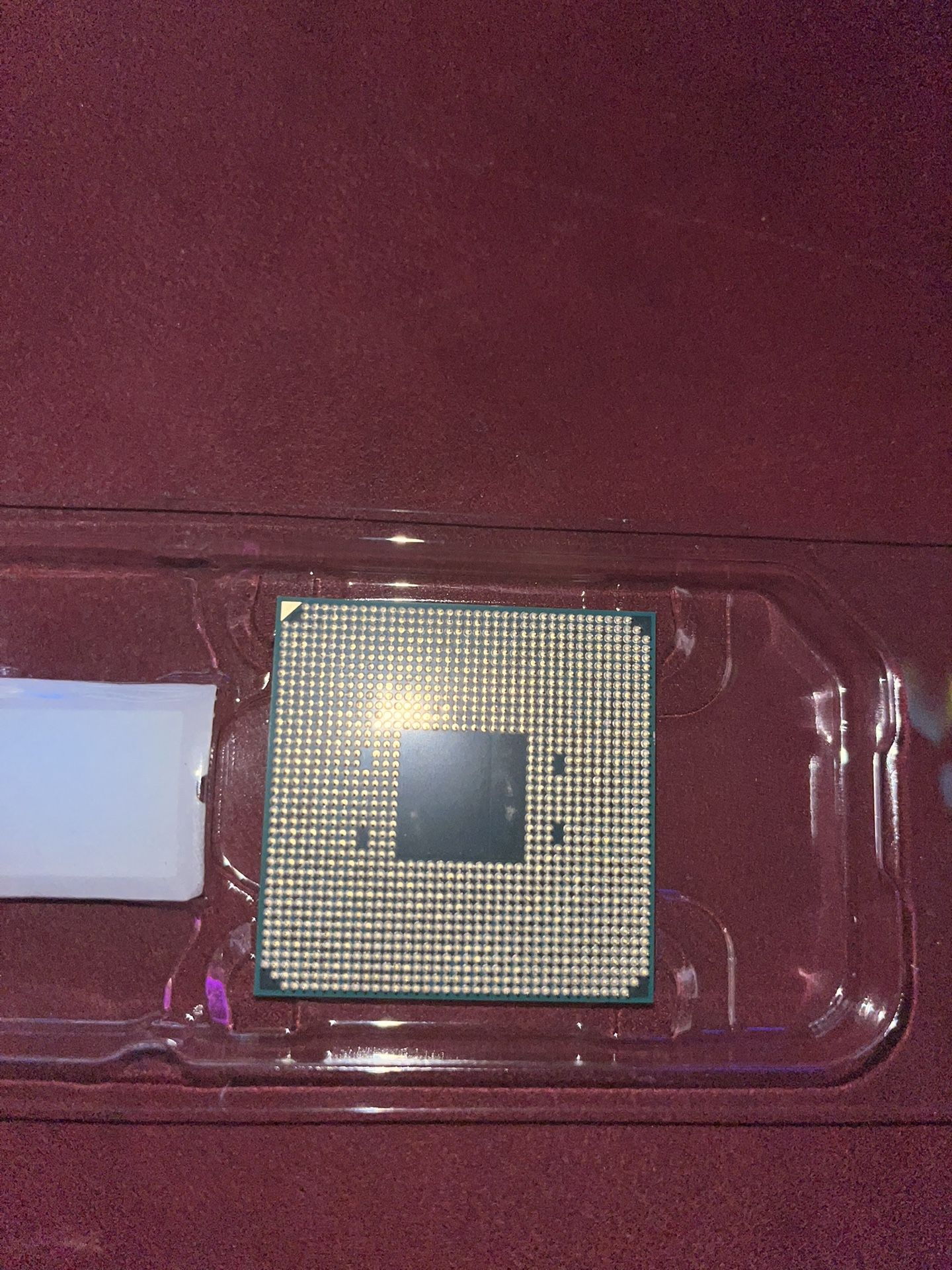 AMD Ryzen 5 5600x CPU