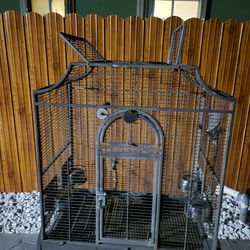 Bird Cage 