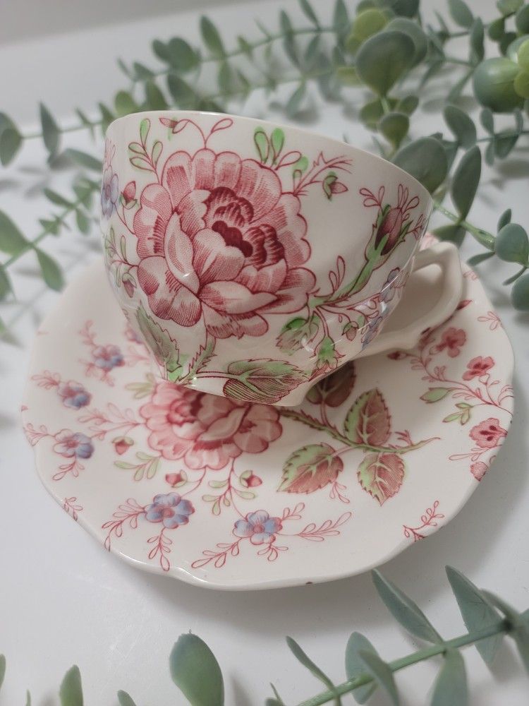Johnson Brothers Rose Chintz Tea Cup And Saucer For Sale