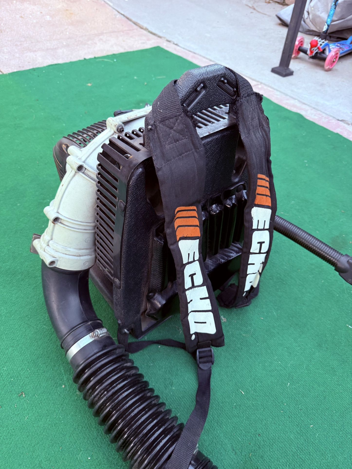 Echo Heavy Duty Leaf blower 