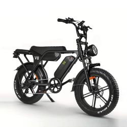 Ouxi v8 e Bike