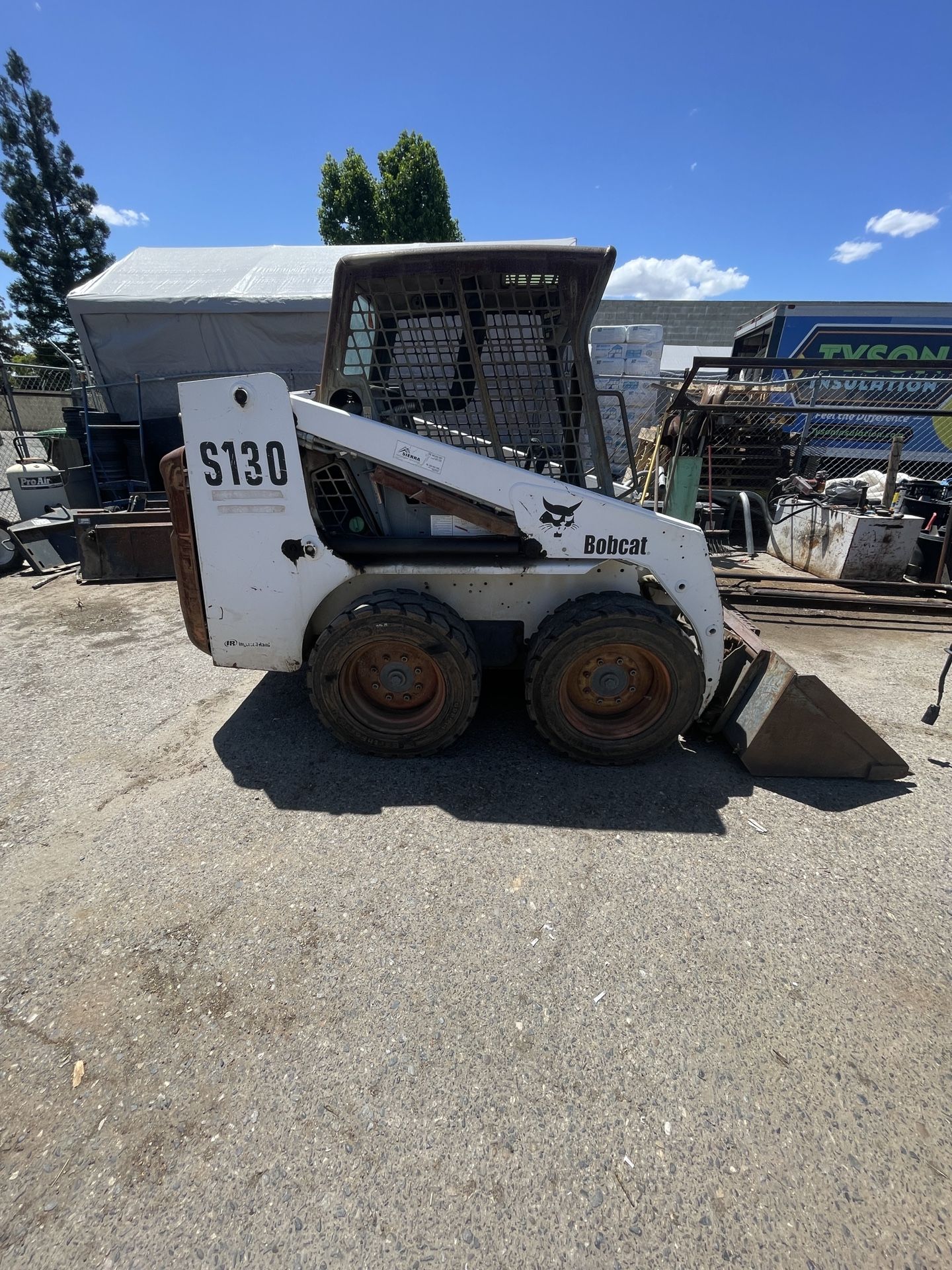 Bobcat