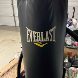 Punching Bag W Stand