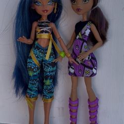 2 Monster High Dolls