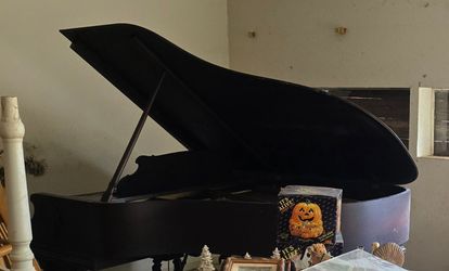 Steinway & sons