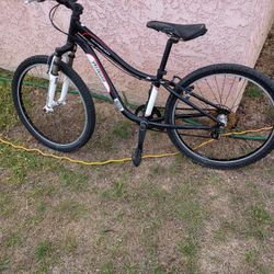 7 Speed 24 In Bike