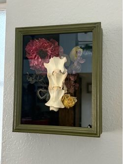 Oddities/taxidermy shadow box