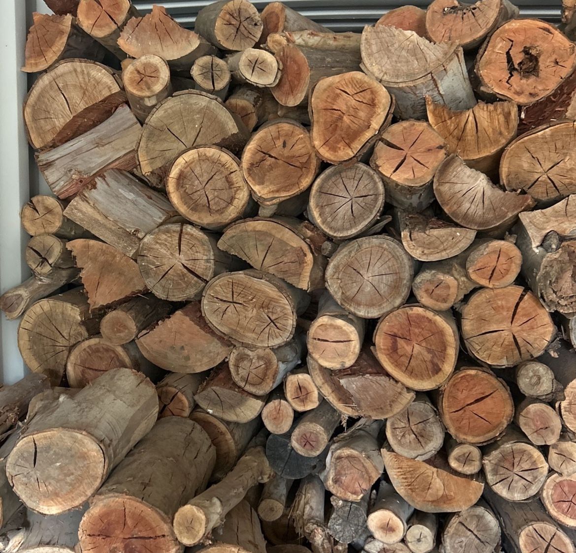 Eucalyptus Firewood