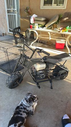 Mini bike