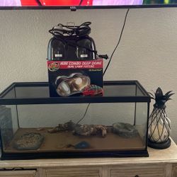 Reptile/Tank