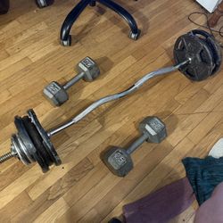 Full Weight Set – EZ Curl Bar, Plates, Dumbbells (122+ lbs Total) -$100