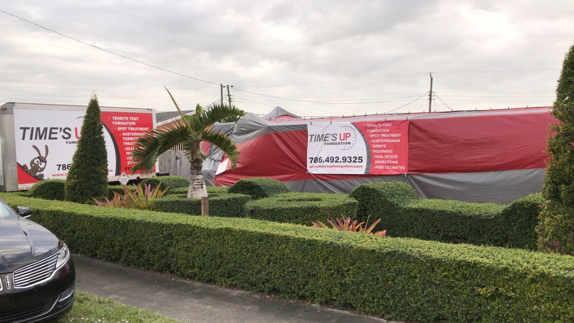 Termites tenting fumigation