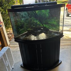 Corner Fish Tank 