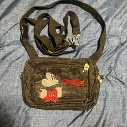 Disneyland Mickey Mouse Resort Bag