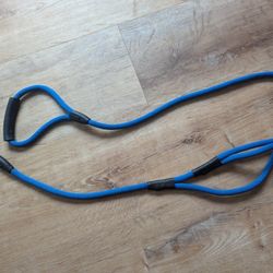 New Blue Dog Leash