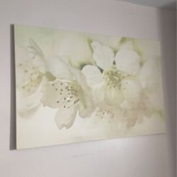 Canvas Picture $20