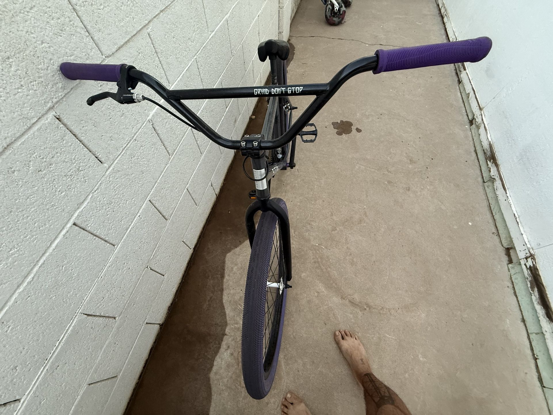 29 Inch Elite BMX