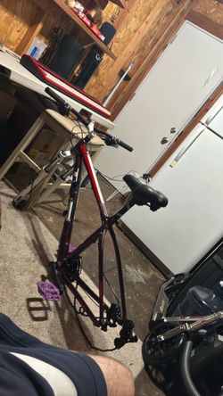 Trek MTB Xcaliber 6 29er mountain bike