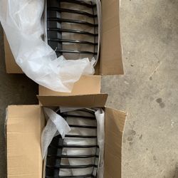 2016 BMW X1 Kidney Grills And Springs - OEM