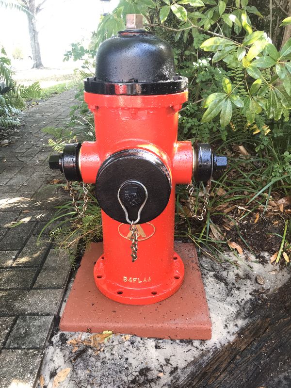 Fire Hydrant for Sale in Fort Lauderdale, FL OfferUp