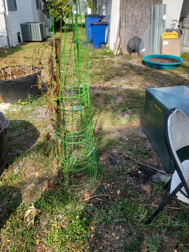 4 Tomato Cage For $6