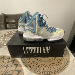 Nike Lebron Space Jam  Shoes