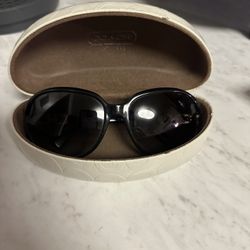 Sunglasses 