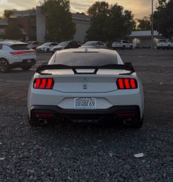 Oem mustang taillights