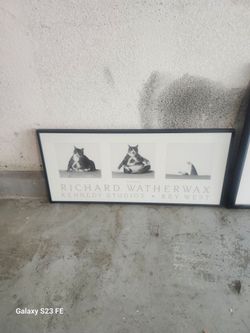 Framed Cat Picture