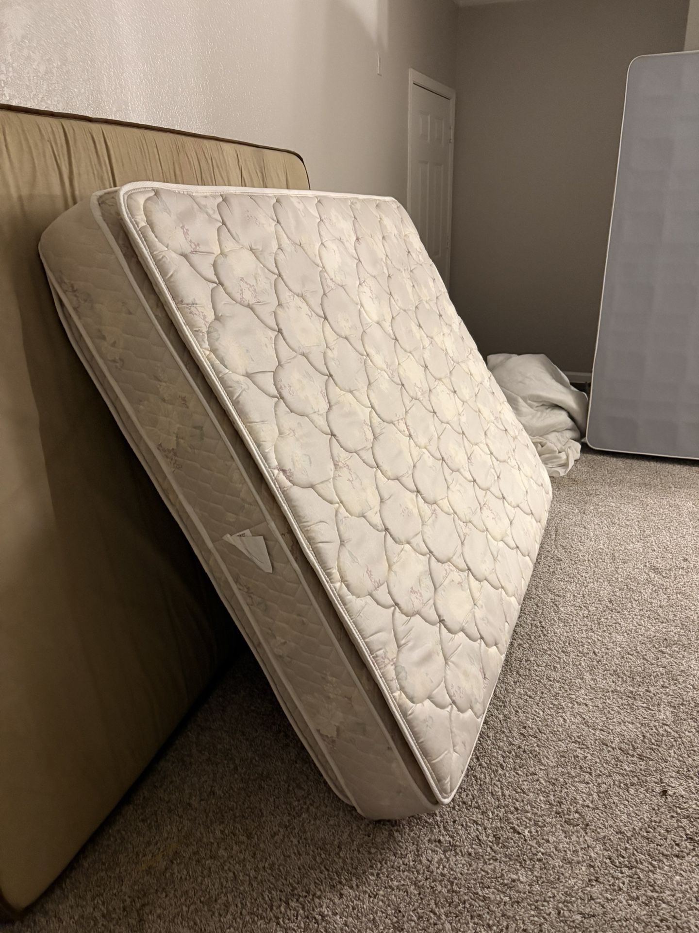 Mattress & Box Spring