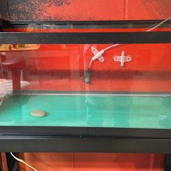 20 Gallon Long Tank