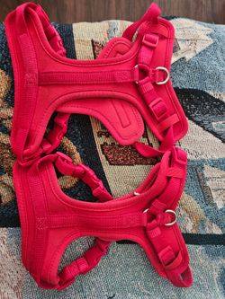 X small  puppies  Harness