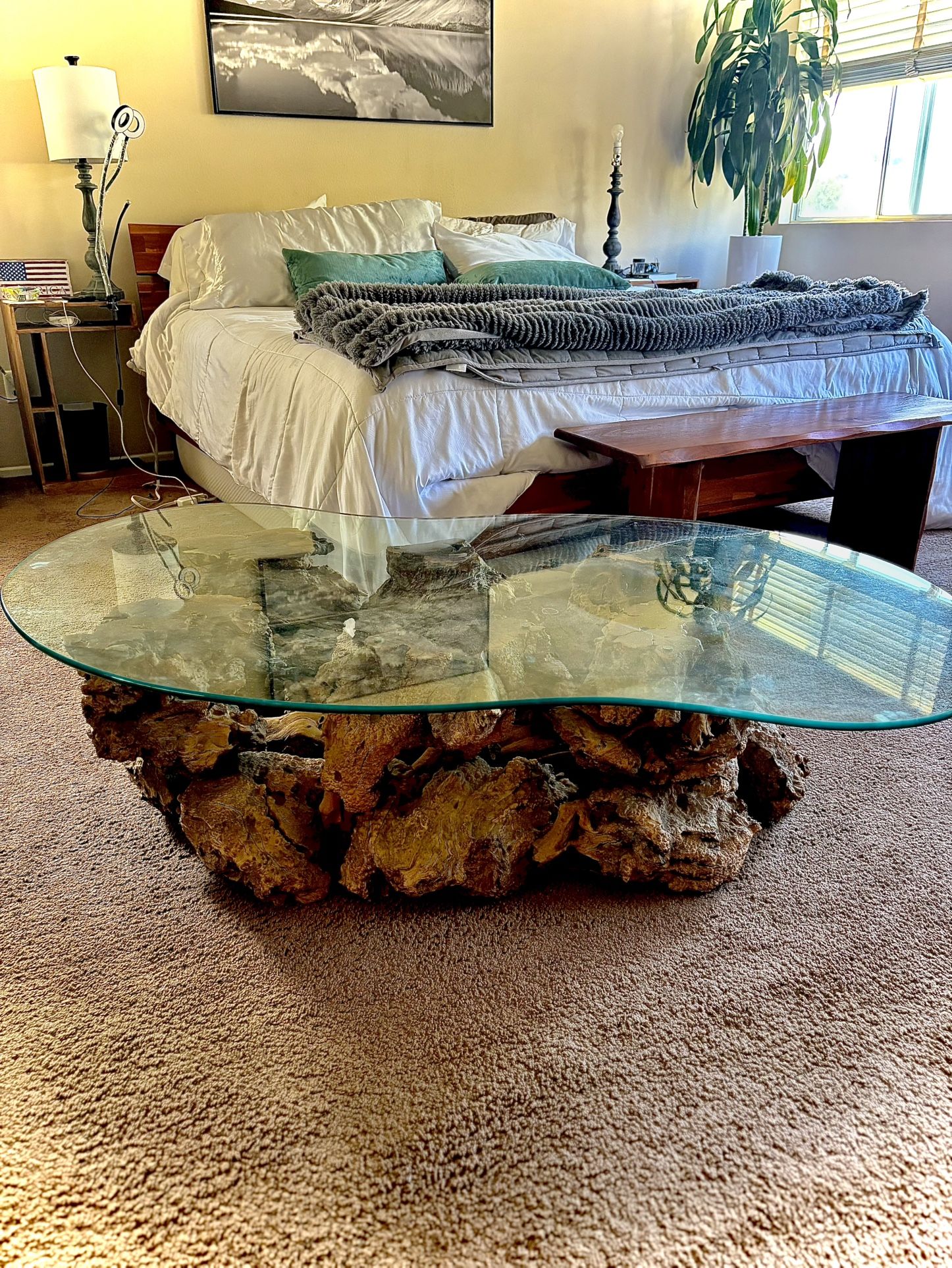 Rare Organic Rustic Burlwood Coffee Table