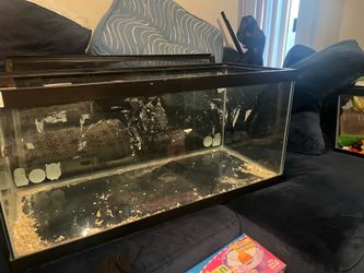 50 Gallon Tank