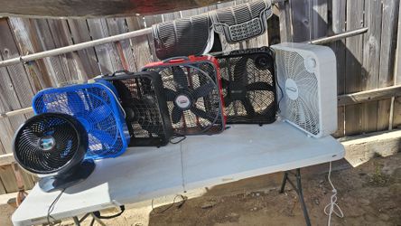 Fans $30
